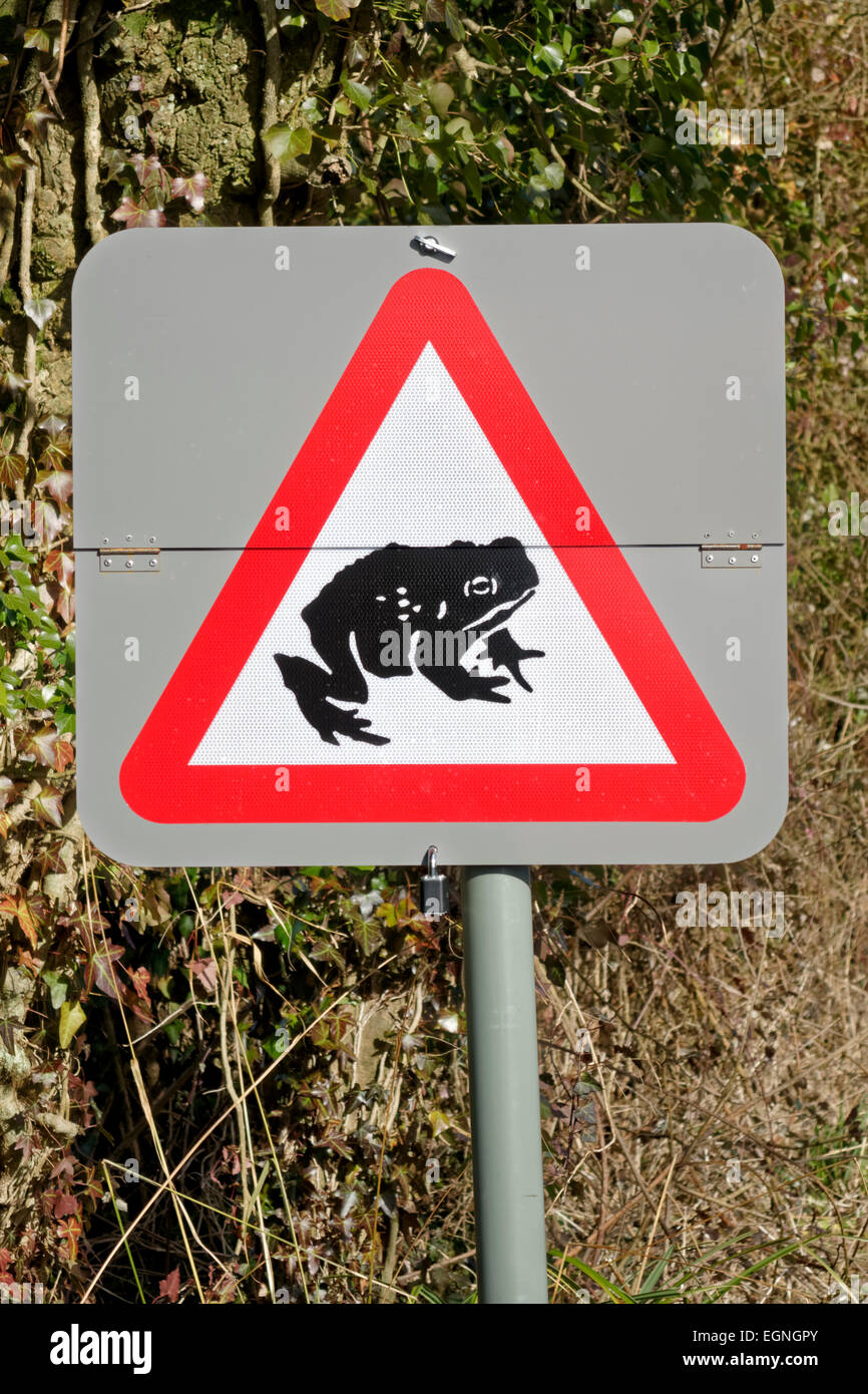 Warminster, Wiltshire, Regno Unito, 27 febbraio 2015.Grazie al finanziamento da parte della Comunità Warminster Area gruppo di trasporto e la Warminster Consiglio Comunale, toad attraversando segni sono stati presentati per la prima volta in Smallbrook ROAD, Warminster, per avvisare gli automobilisti di rospi attraversando la strada e sul loro modo di Wiltshire Wildlife Trust di Smallbrook prati riserva naturale dove centinaia di rospi amorosa sono attesi per essere voce nei prossimi mesi durante la loro stagione riproduttiva. Credito: Andrew Harker/Alamy Live News Foto Stock