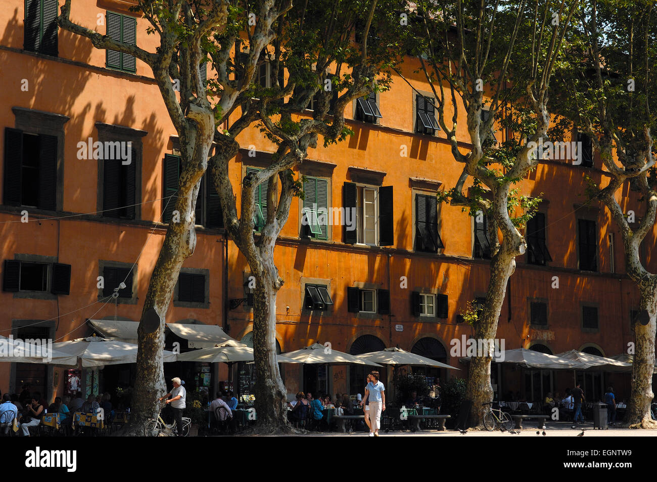 Lucca, Napoleone Piazza Napoleone, Toscana, Italia, Europa Foto Stock