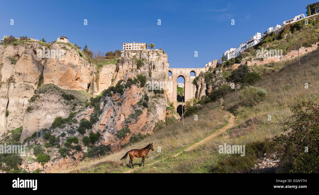 Ronda, provincia di Malaga, Andalusia, Spagna meridionale. Gorge e Puente Nuevo (nuovo ponte). Parador nazionale a sinistra del ponte Foto Stock