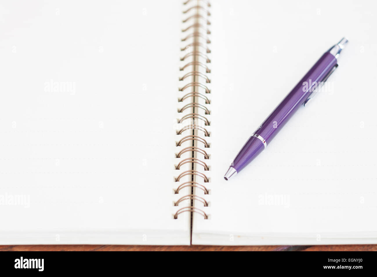 Notebook vuota con la penna sul tavolo di legno, stock photo Foto Stock