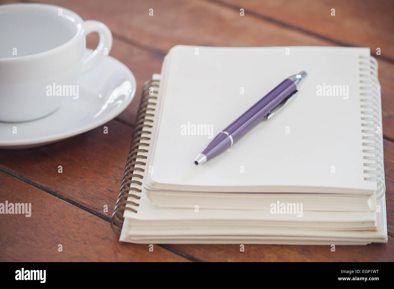 Notebook vuota con la penna sul tavolo di legno, stock photo Foto Stock