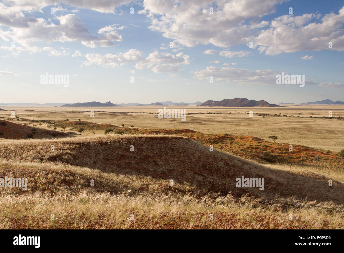 Paesaggio panoramico del Sossusvlei park, Namibia Foto Stock