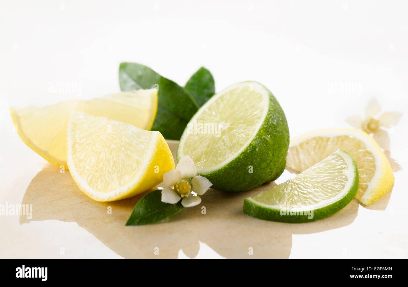 Lemon & Lime, Citrus limon & citrus aurantiifolia. Pezzi, metà e i quarti e le fette di fiori e foglie spritzed con goccioline di acqua su marmo bianco. Messa a fuoco selettiva. Foto Stock