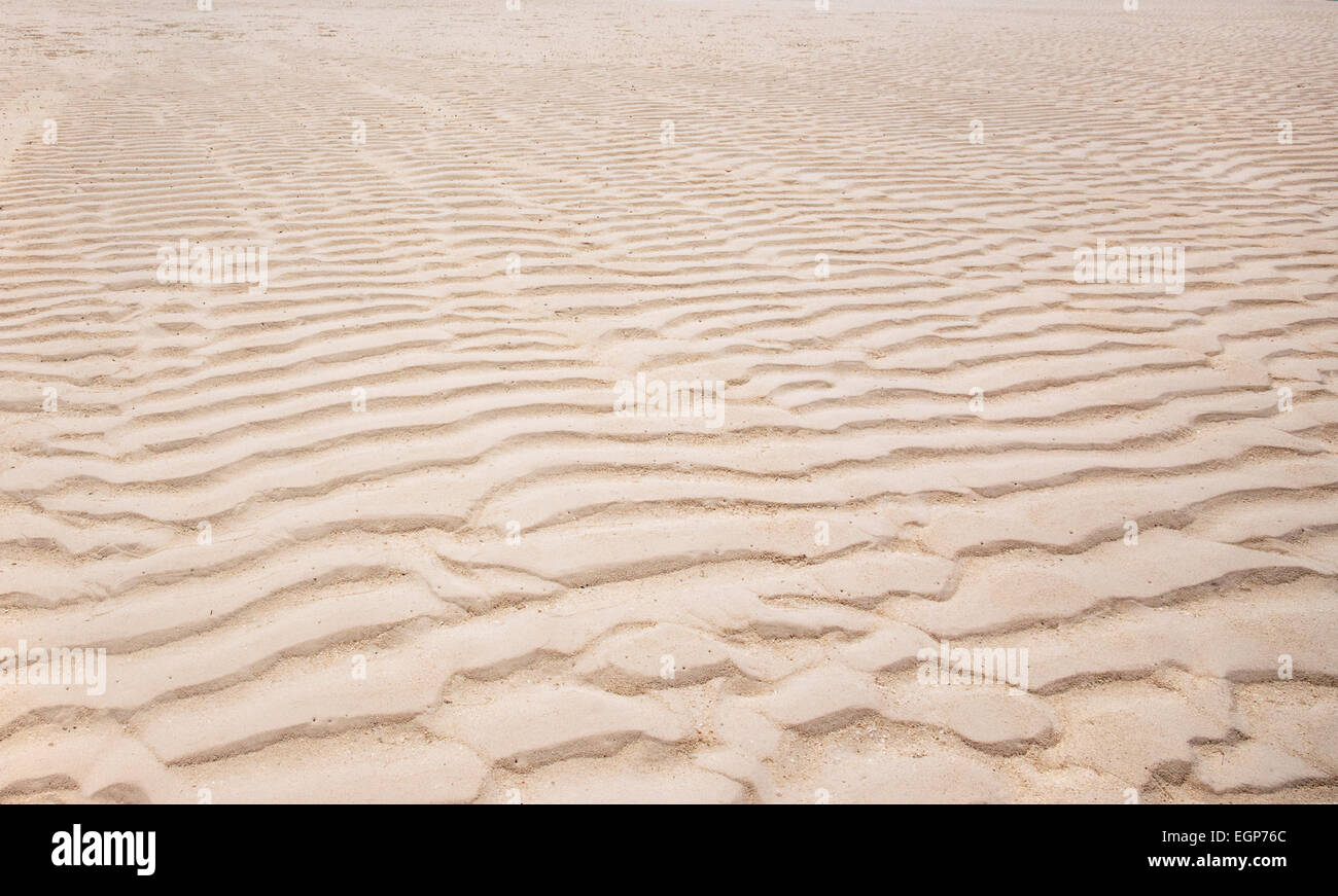 Modelli di spazzate dal vento sulla spiaggia di Turks & Caicos Foto Stock