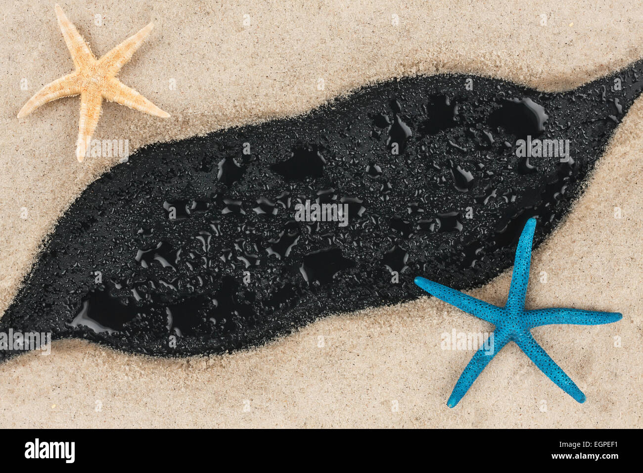 Blu e beige starfish giacciono sulla sabbia, su sfondo nero Foto Stock