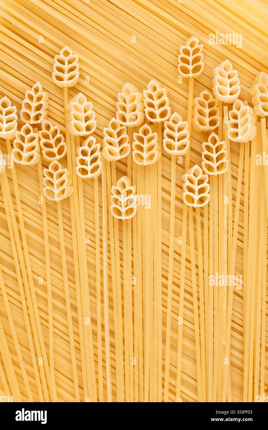 Un campo di grano, pasta, immagine concettuale, lo sfondo Foto Stock