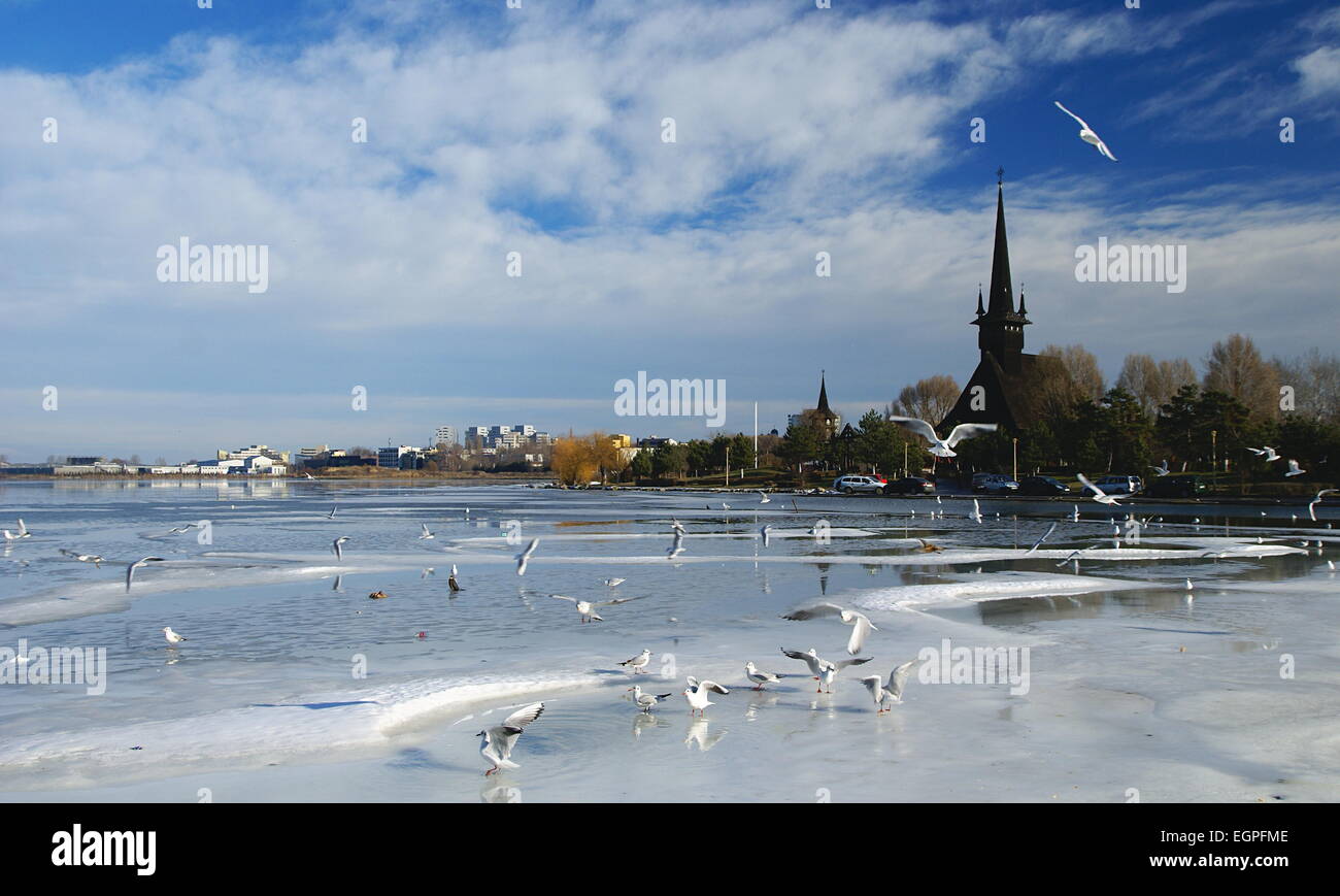 Paesaggio invernale sul lago Tabacarie in Constanta, lago pieno di wild uccelli migratori in cerca di cibo. Foto Stock