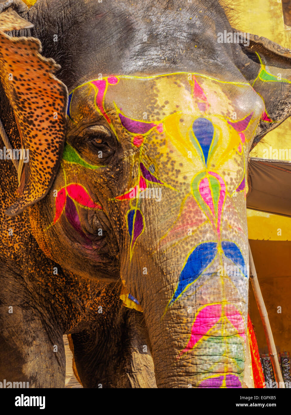 Dipinto di elefante indiano al forte di Amber a Jaipur, India Foto Stock