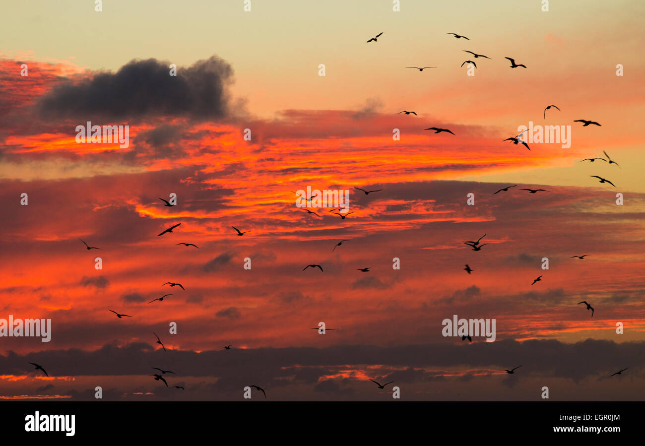 Whitley Bay, North Tyneside, Regno Unito Domenica, 1 marzo 2015.. Meteo: glorioso skyat rosso tramonto sul mare del Nord a Whitley Bay nei pressi di Newcastle su un luminoso e arieggiato primo giorno di marzo sulla costa nord est. Credito: ALANDAWSONPHOTOGRAPHY/Alamy Live News Foto Stock