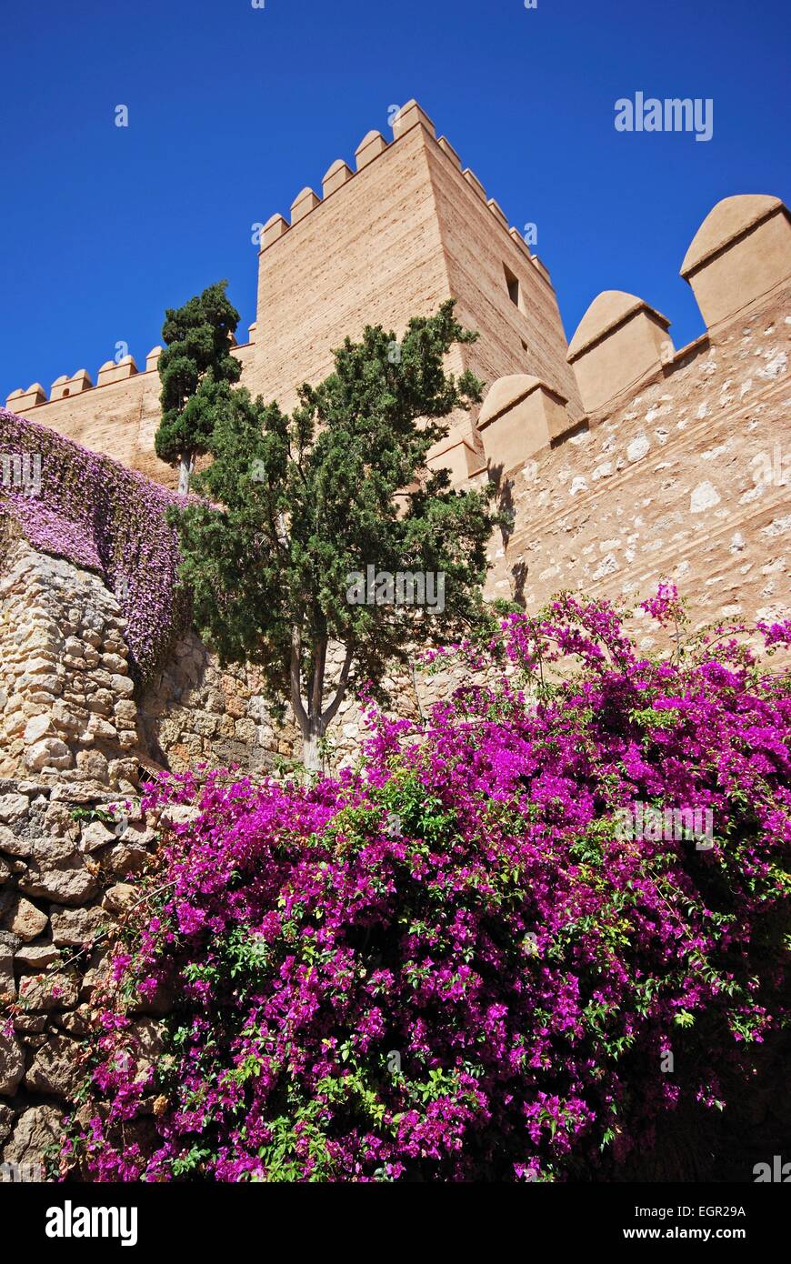 Vista del castello moresco e giardini, Almeria, provincia di Almeria, Andalusia, Spagna, Europa occidentale. Foto Stock