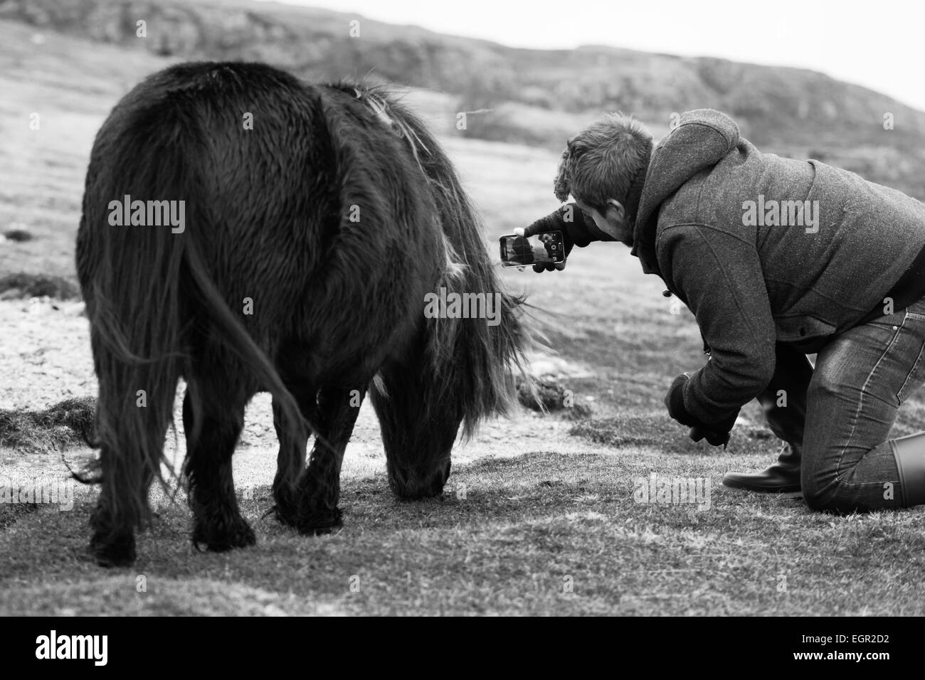 Un uomo pone per un 'selfie' con un wild pony in miniatura sulla montagna nera in Brecon Beacons, Galles. Foto Stock