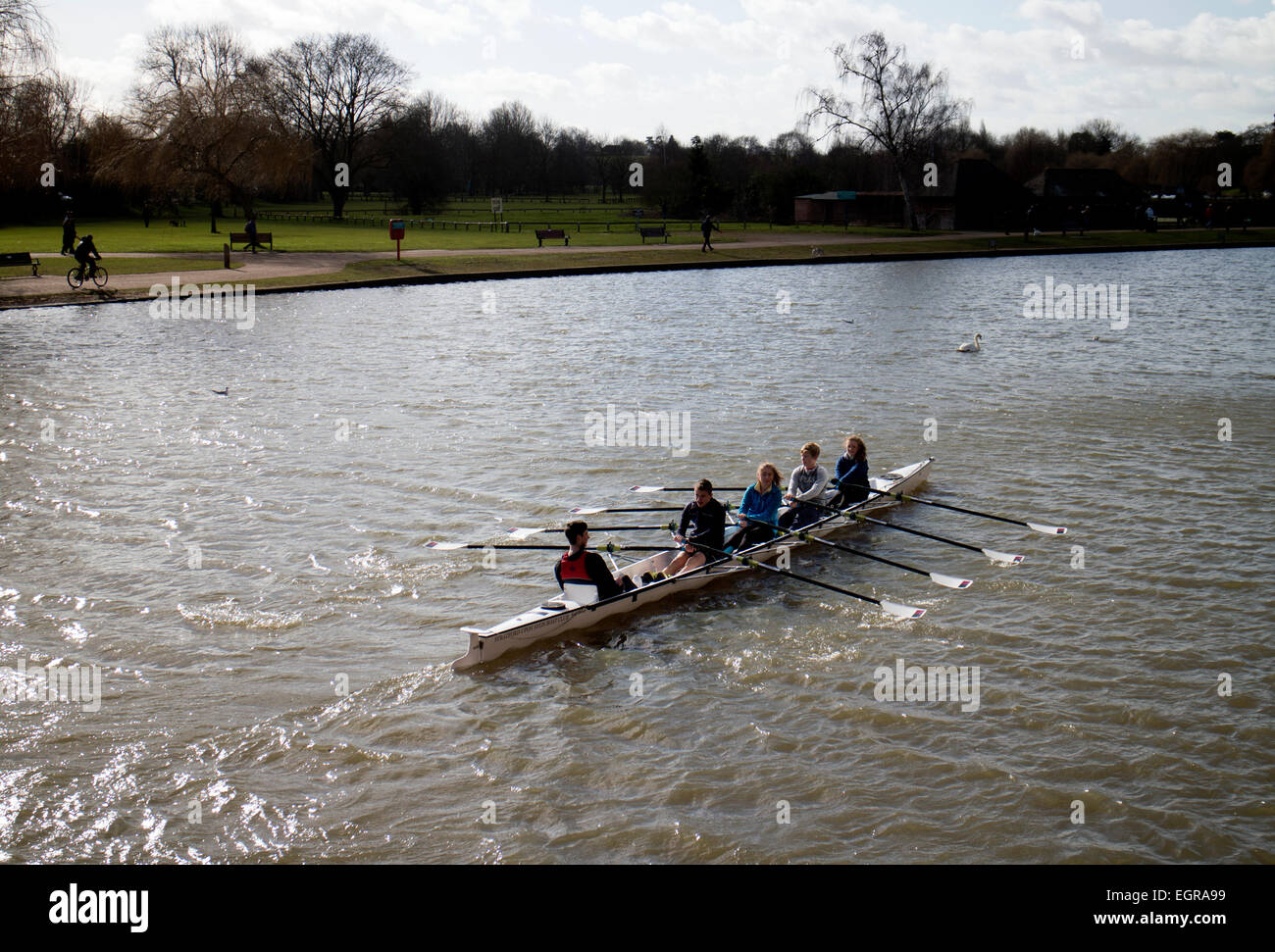 Coxed quattro canottaggio sul fiume Avon, Stratford-upon-Avon, Regno Unito Foto Stock