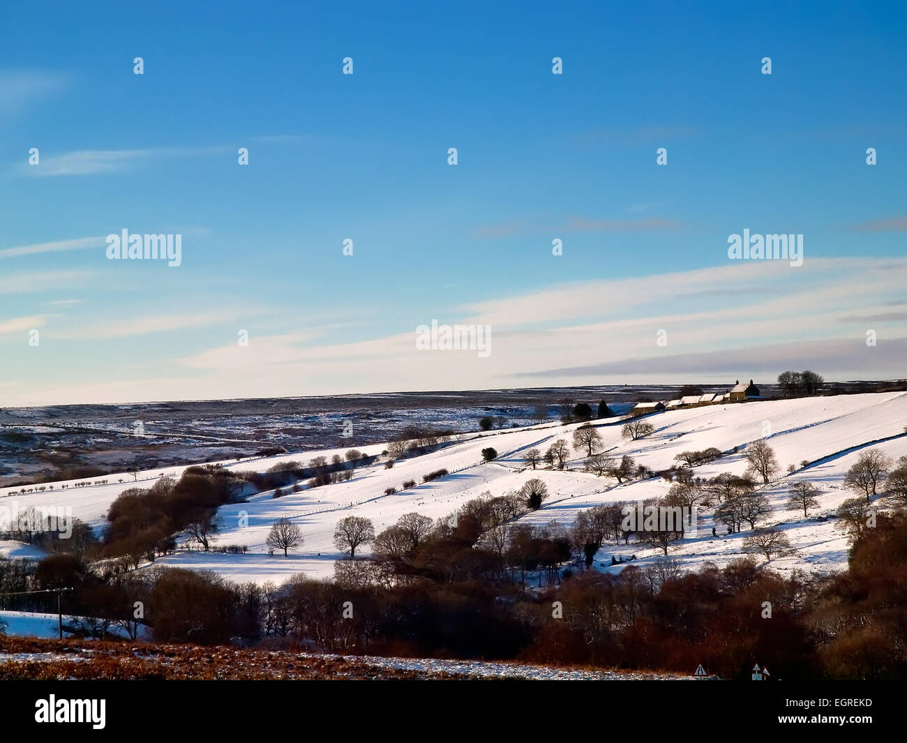 Inverno guardando verso il nocciolo testa dalla casa di suoneria Road, Goathland, North Yorkshire. Foto Stock