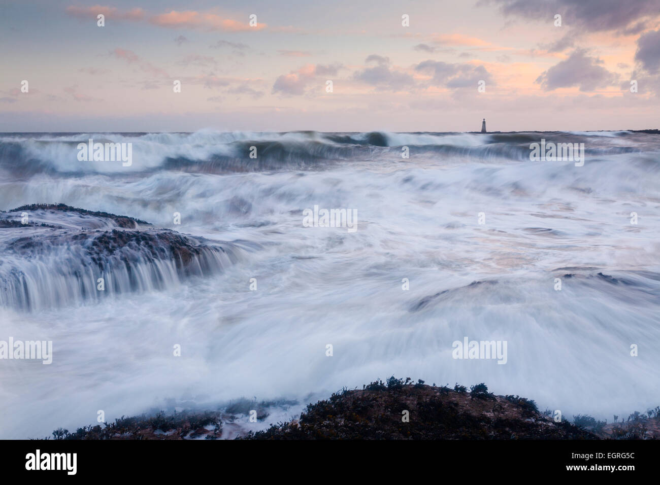 Grandi onde a Seacliff beach, East Lothian. Foto Stock