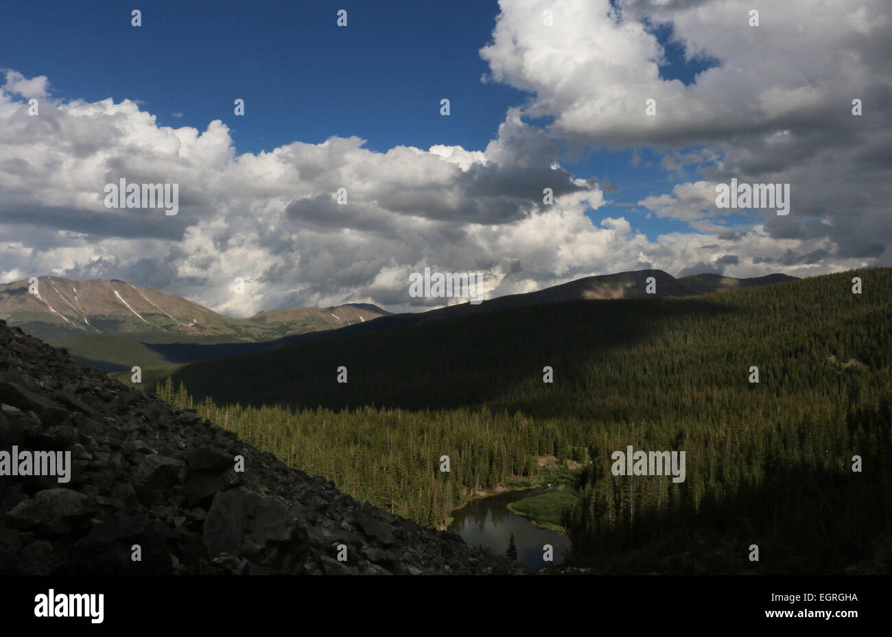 Tramonto su cime della foresta di Colorado Foto Stock