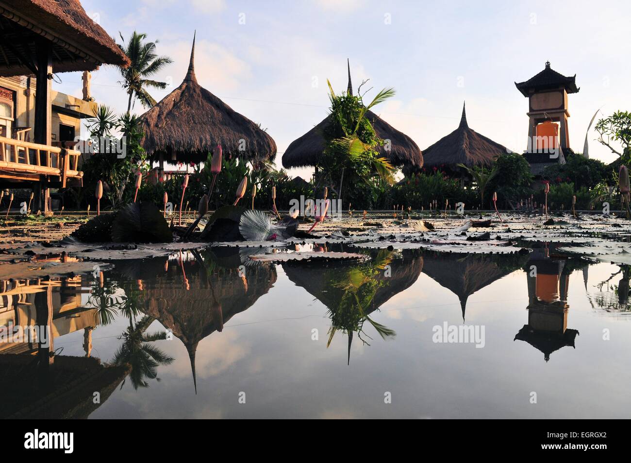 Tradizionale paglia bungalows in campi di riso, Ubud, Bali Foto Stock