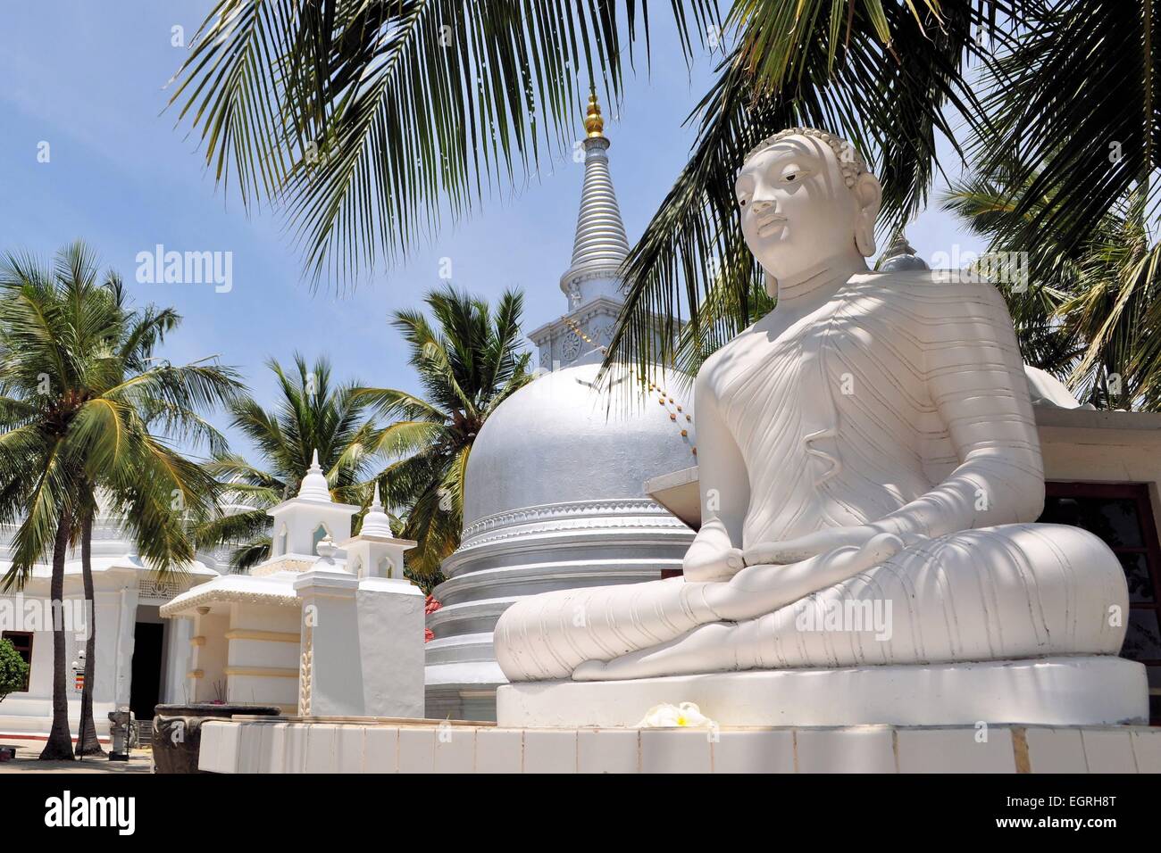 Stupa buddisti sotto gli alberi di palma, Sri Lanka Foto Stock