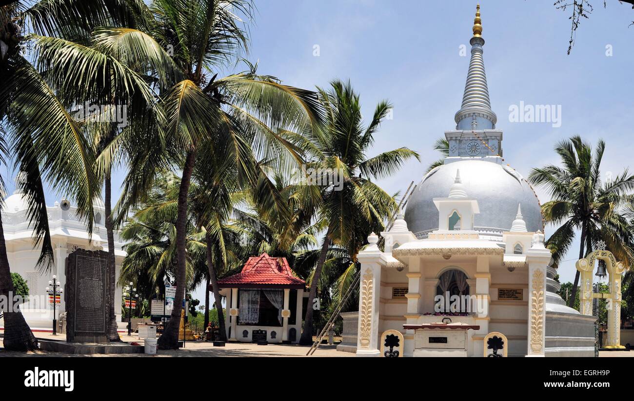 Stupa buddisti sotto gli alberi di palma, Sri Lanka Foto Stock