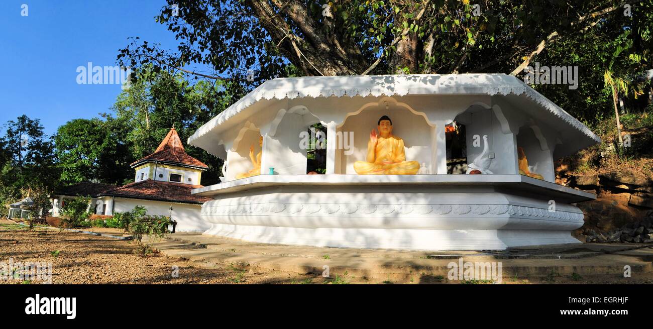 Bodhi tree davanti al tempio buddista, Ella, Sri Lanka Foto Stock