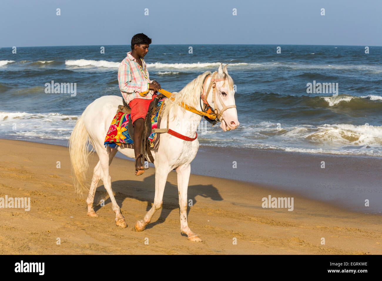 Uomo locale in sella ad un cavallo bianco in riva al mare sulla spiaggia di Marina, Chennai, nello Stato del Tamil Nadu, nell India meridionale Foto Stock