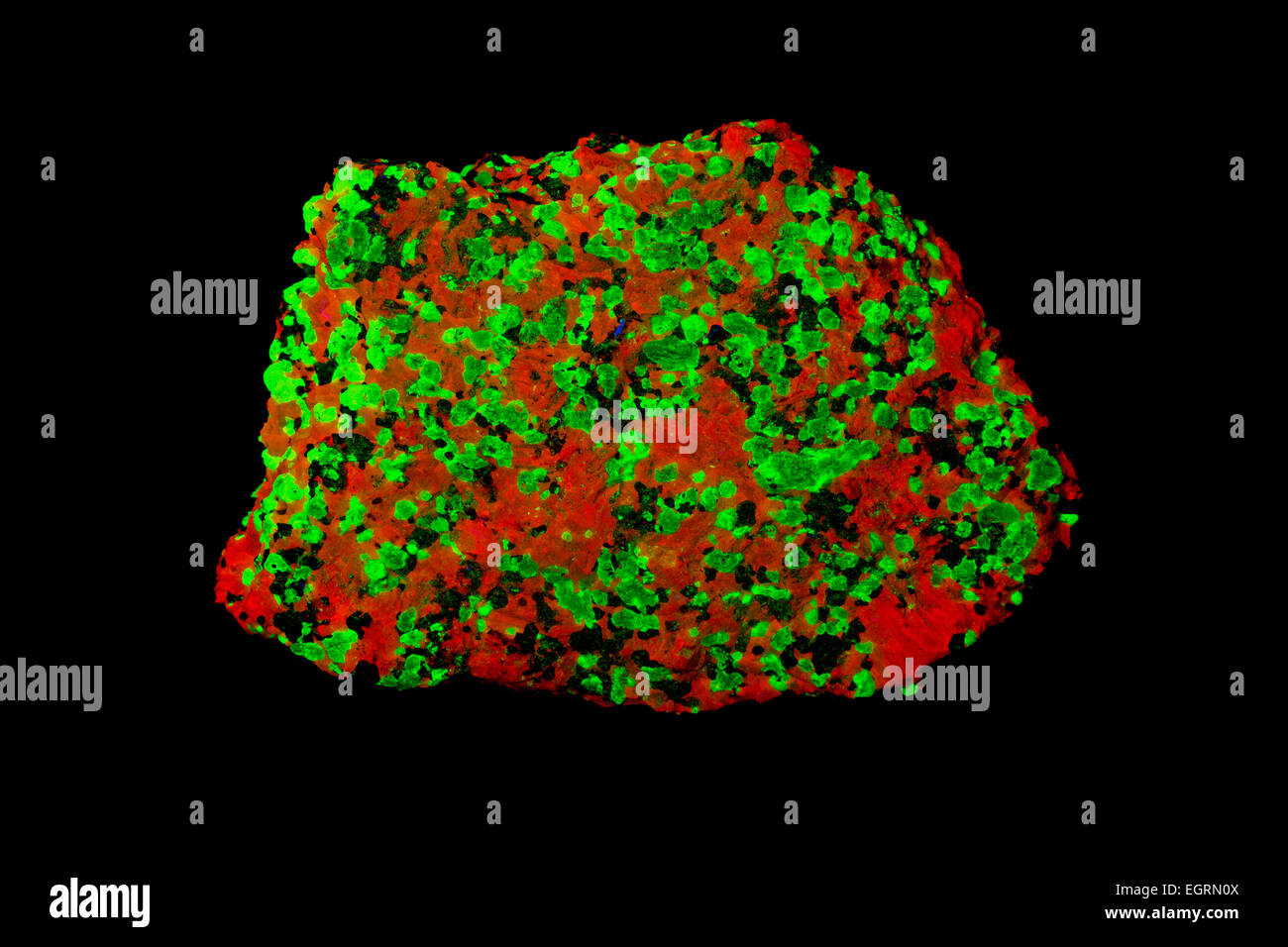 Calcite (rosso) e Willamite(verde), sotto luce fluorescente, Franklin New Jersey Foto Stock