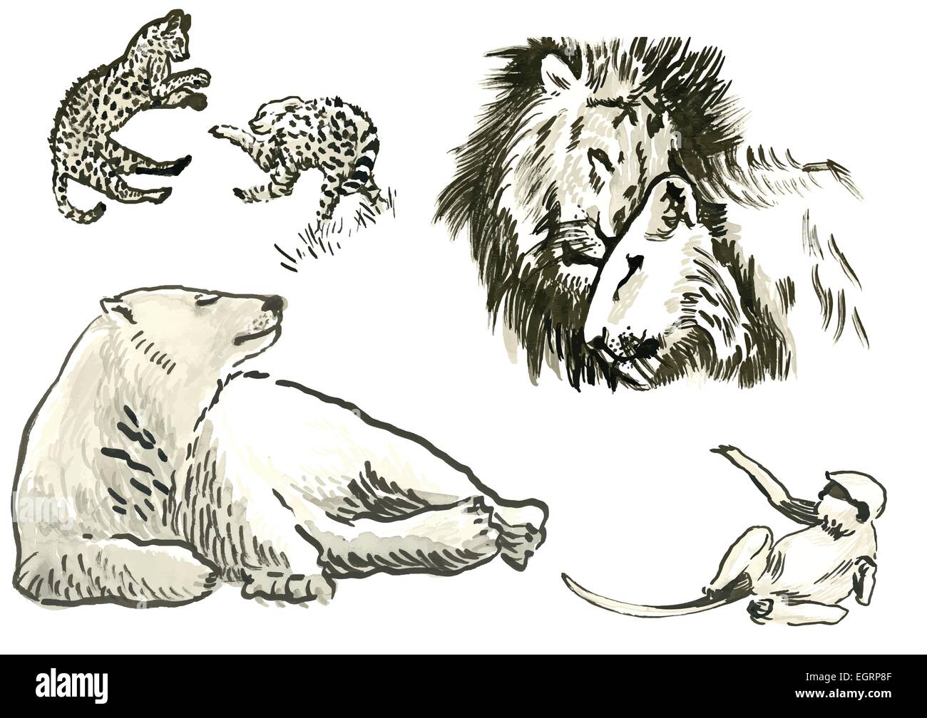 Un disegnati a mano - Illustrazione tecnica acquarello, pochi animali Illustrazione Vettoriale