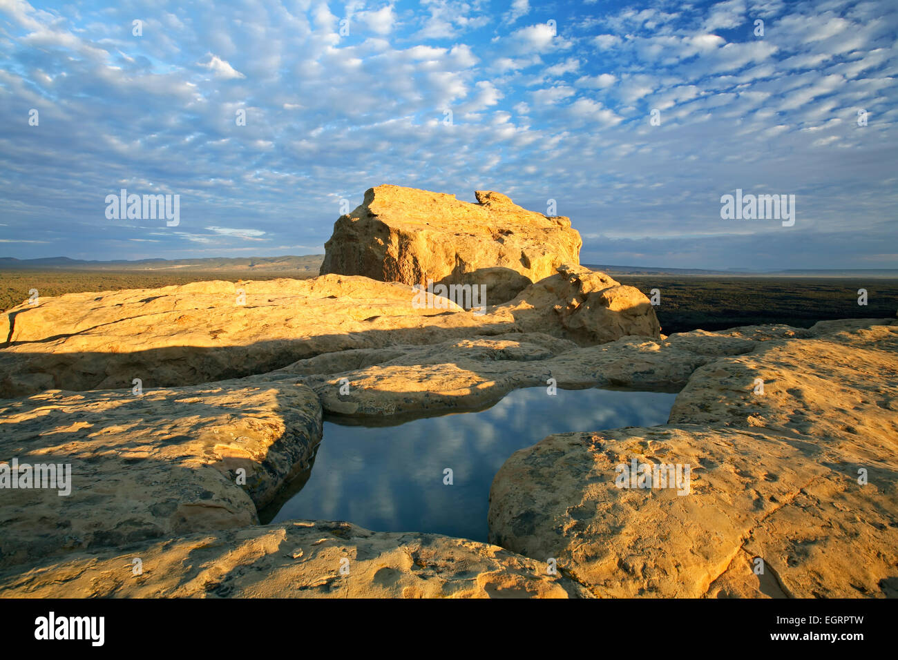 Tasca di acqua in arenaria, El Malpais monumento nazionale, Nuovo Messico USA Foto Stock