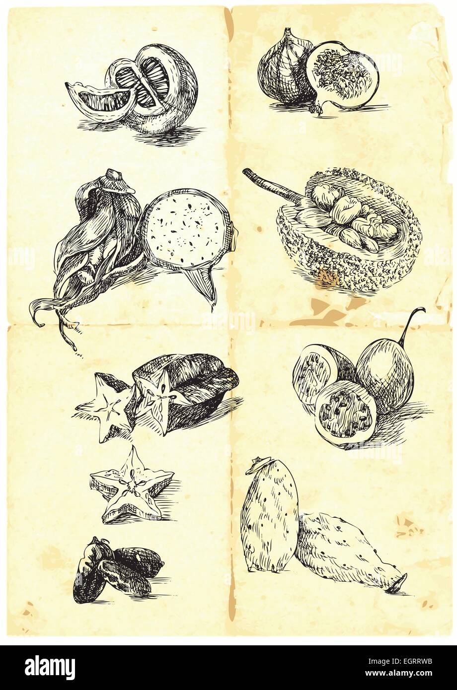 Disegnata a mano una grande raccolta di frutta di stagione e legumi provenienti da tutto il mondo. Dettagliato e preciso lavoro. (Per simili ho Illustrazione Vettoriale