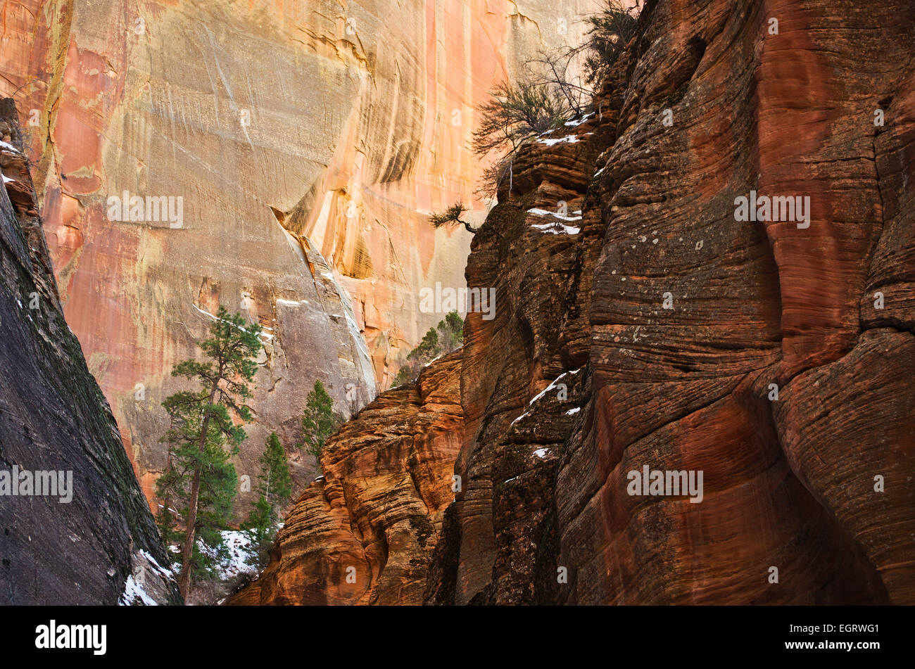 Questa scena è lungo il punto di osservazione trail, nel Parco Nazionale di Zion, Utah, Stati Uniti. Questa zona è Echo Canyon. Foto Stock
