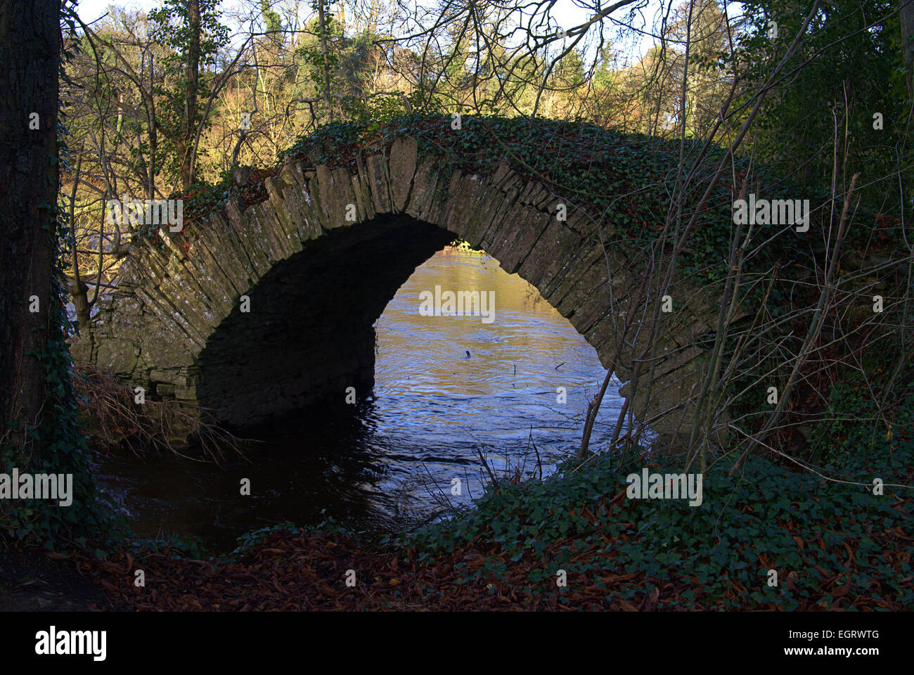 Antico ponte di pietra sul fiume Boyne canal vicino Navan Co. Contea di Meath, Irlanda. Noto come ponte Babes circa 1300 Foto Stock