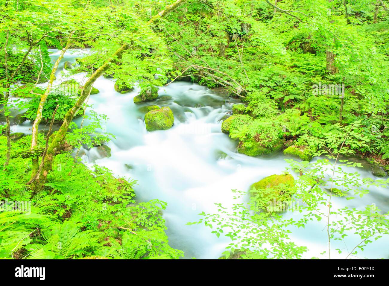 Estate di flusso Oirase, Aomori, Giappone Foto Stock