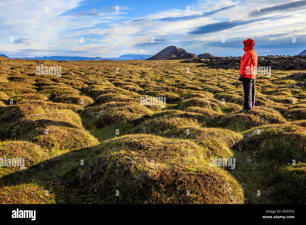 Un escursionista in un vecchio moss-coperto campo di lava a Krafla area vulcanica in Islanda Foto Stock