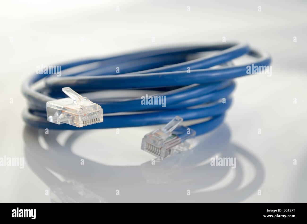 Rj45 blu spina di rete su bianco Foto Stock