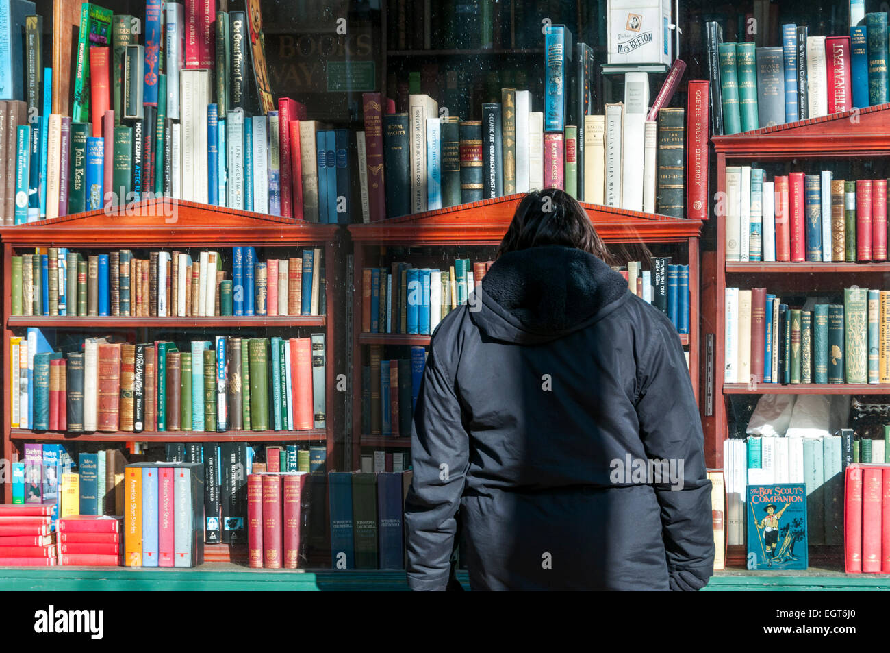 Donna che guarda in una finestra del bookshop in corsie, Brighton. Foto Stock