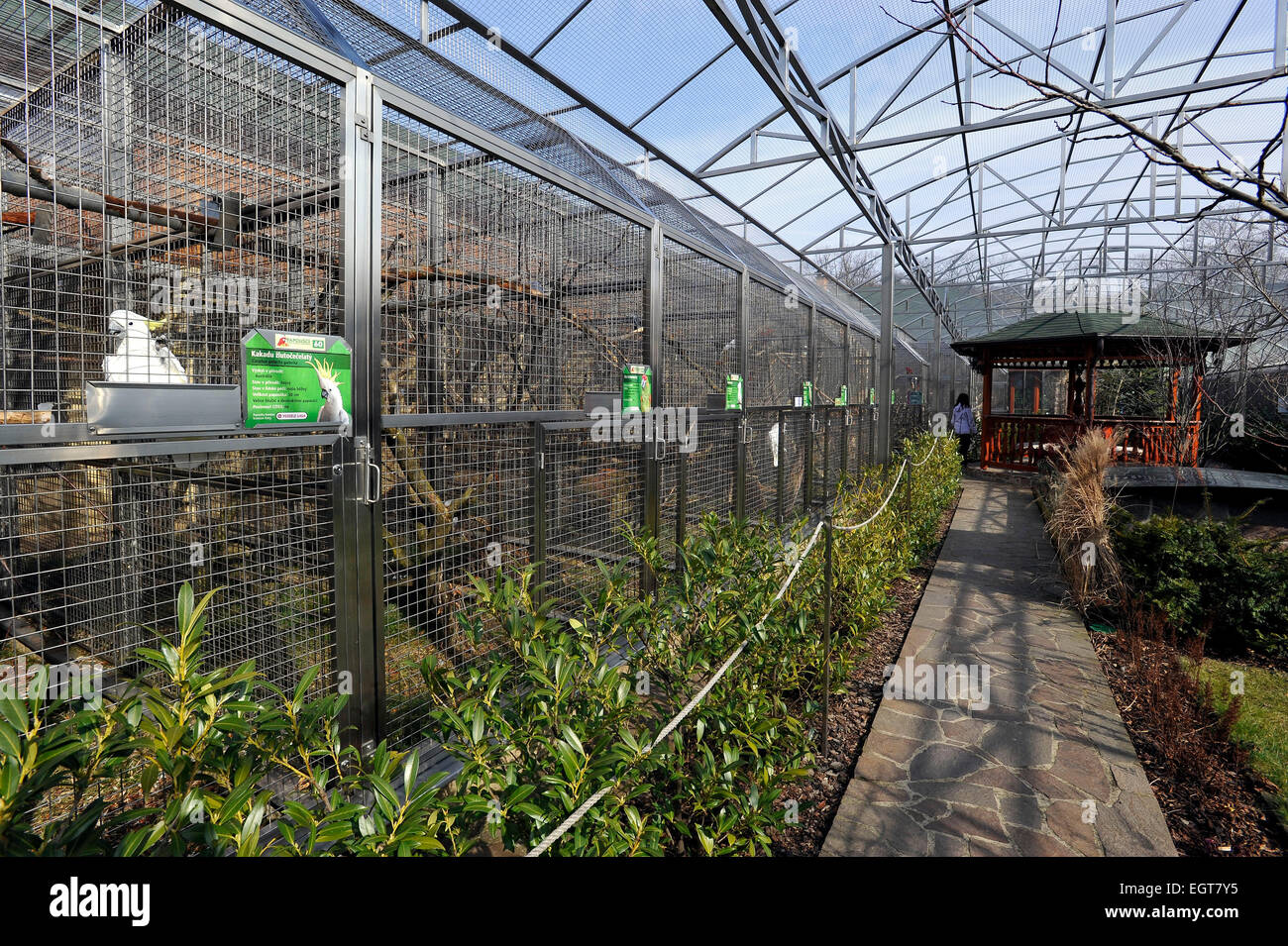 Repubblica ceca. 1 Mar, 2015. Prima Repubblica Ceca parrot zoo garden in Bosovice inizia la nuova stagione, in Repubblica Ceca, 1 marzo 2015. Area del zoo dovrebbe evocare atmosfera di foresta pluviale tropicale. Coppia sposata Hana e Vlastimil Skrhak sono per la prima volta nella Repubblica ceca, che razza 28 specie di pappagallo e complessivamente hanno 150 pappagalli. © Vaclav Salek/CTK foto/Alamy Live News Foto Stock