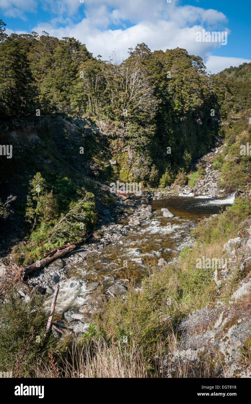 Montare gli aspiranti Parco Nazionale sulla Statale 6, il Haast Pass, nelle Alpi meridionali, Costa Ovest, South Island, in Nuova Zelanda. Foto Stock