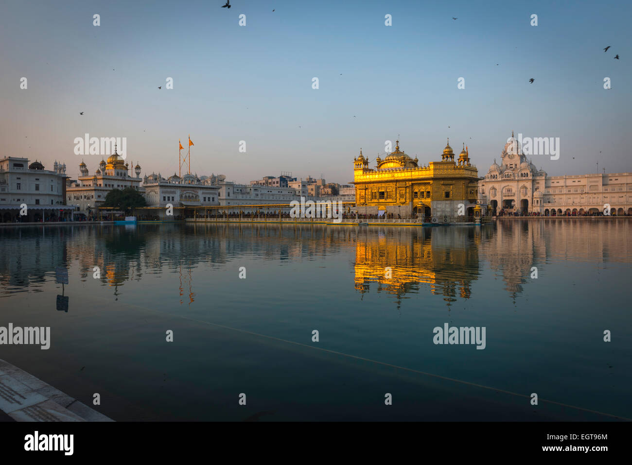 Il Tempio d'Oro dell'Harmandir Sahib illuminata dal sole di setting di Amritsar, India Foto Stock