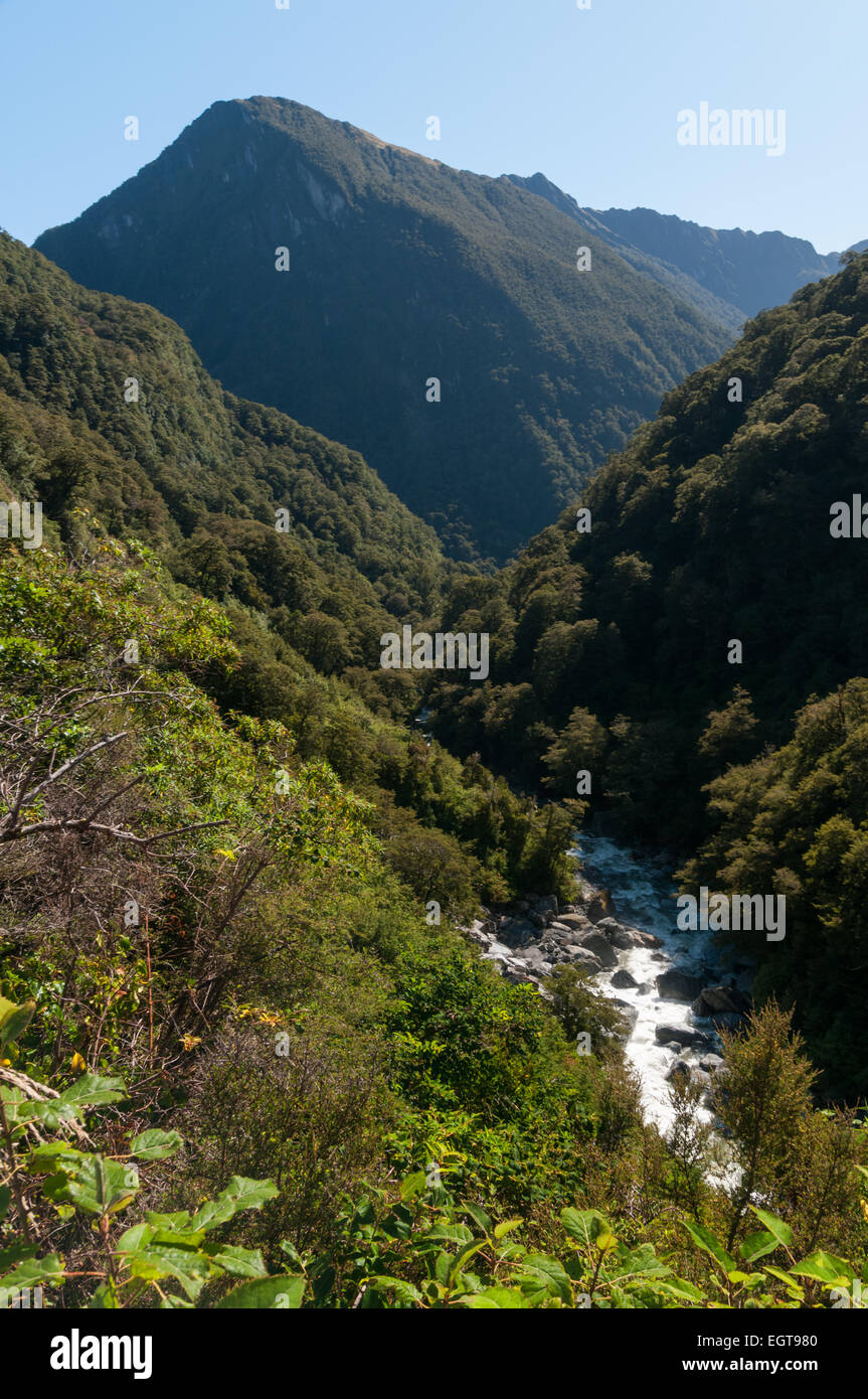 Montare gli aspiranti Parco Nazionale sulla Statale 6, il Haast Pass, nelle Alpi meridionali, Costa Ovest, South Island, in Nuova Zelanda. Foto Stock