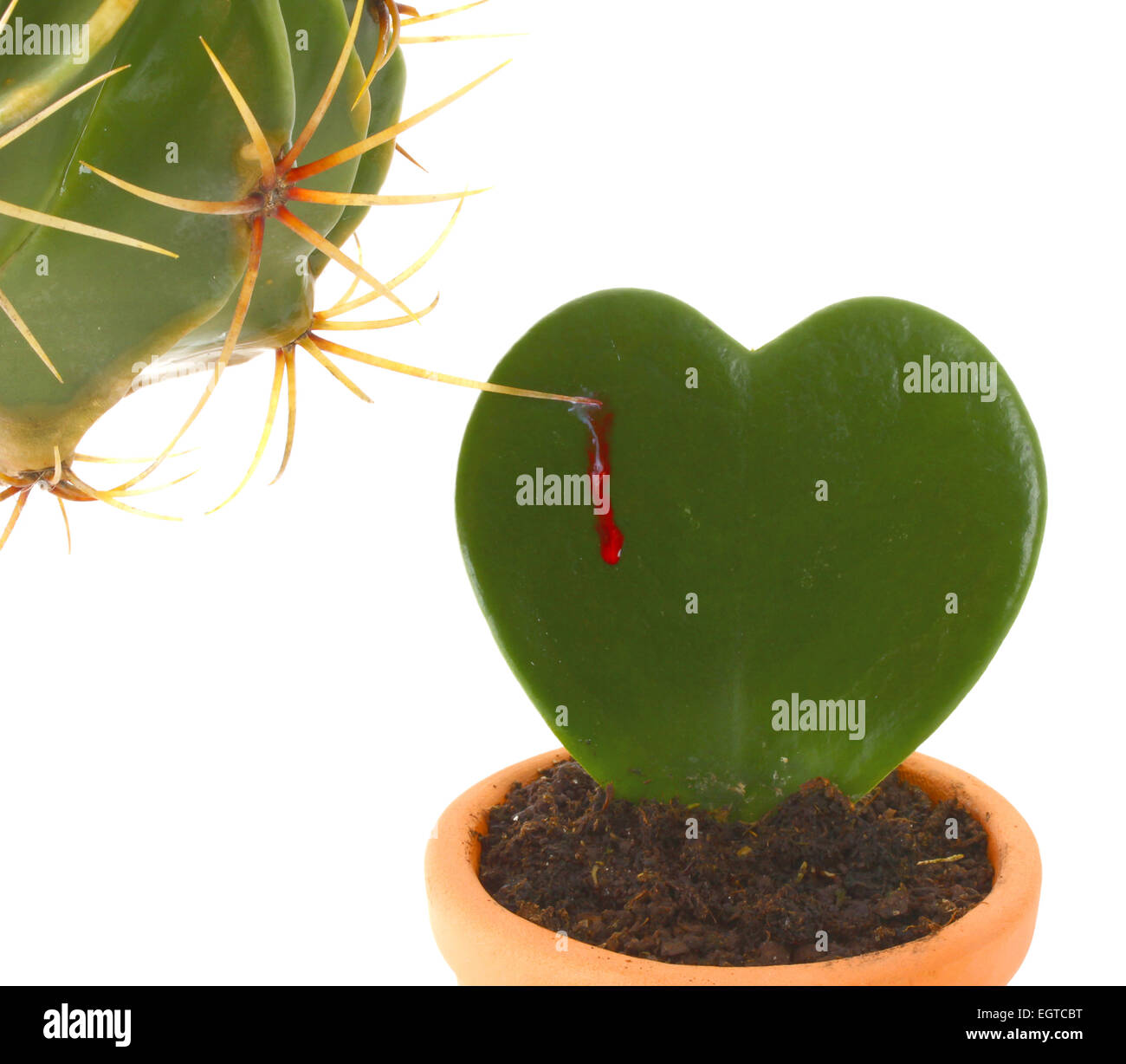 A forma di cuore mentre cactus è colpito da un altro impianto di spine. Foto Stock