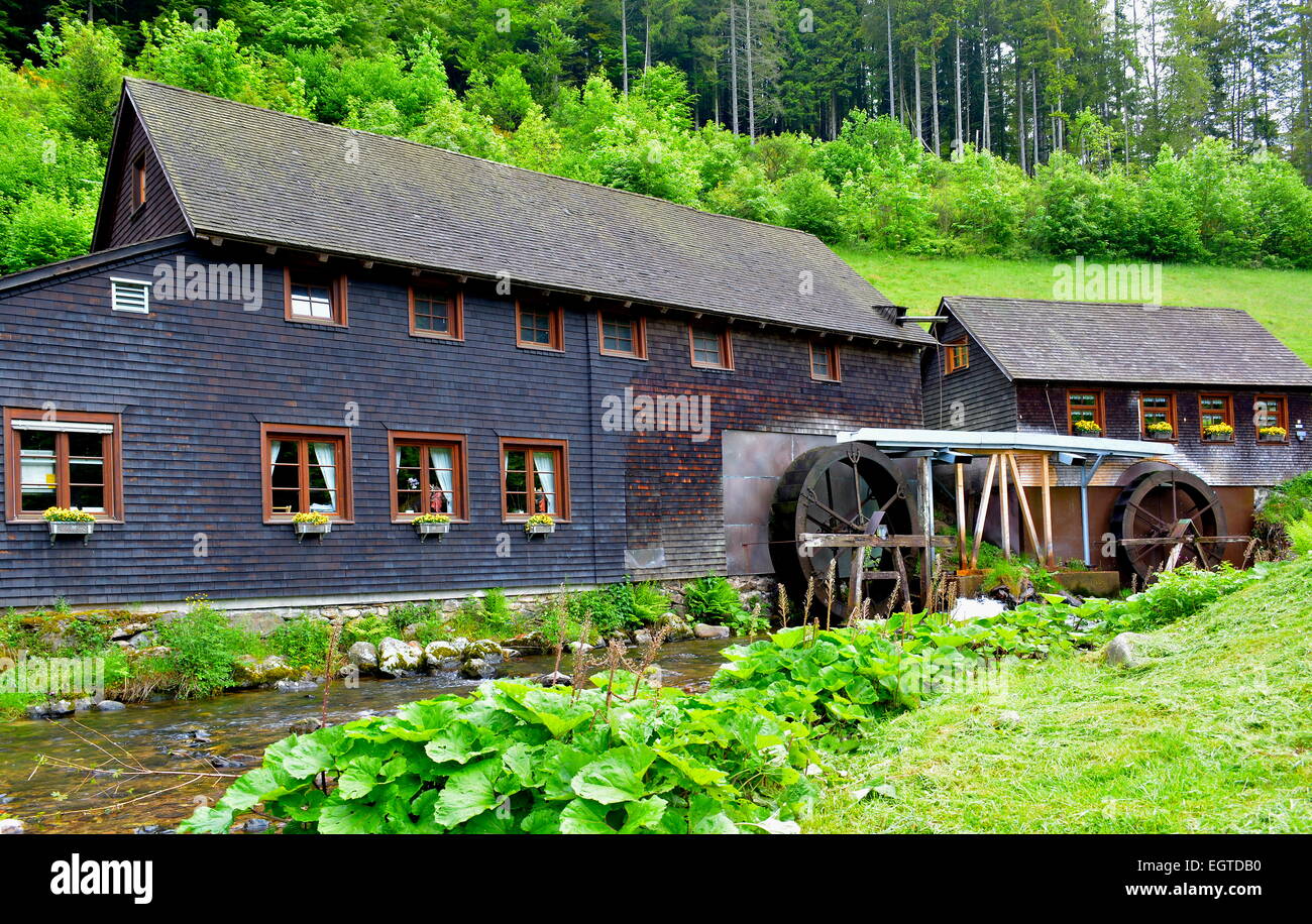 Baden-Wurttemberg, Foresta Nera, streghe foro mill, Schwarzwald, Baden-Württemberg, Hochschwarzwald, Hexenlochmühle, Foto Stock