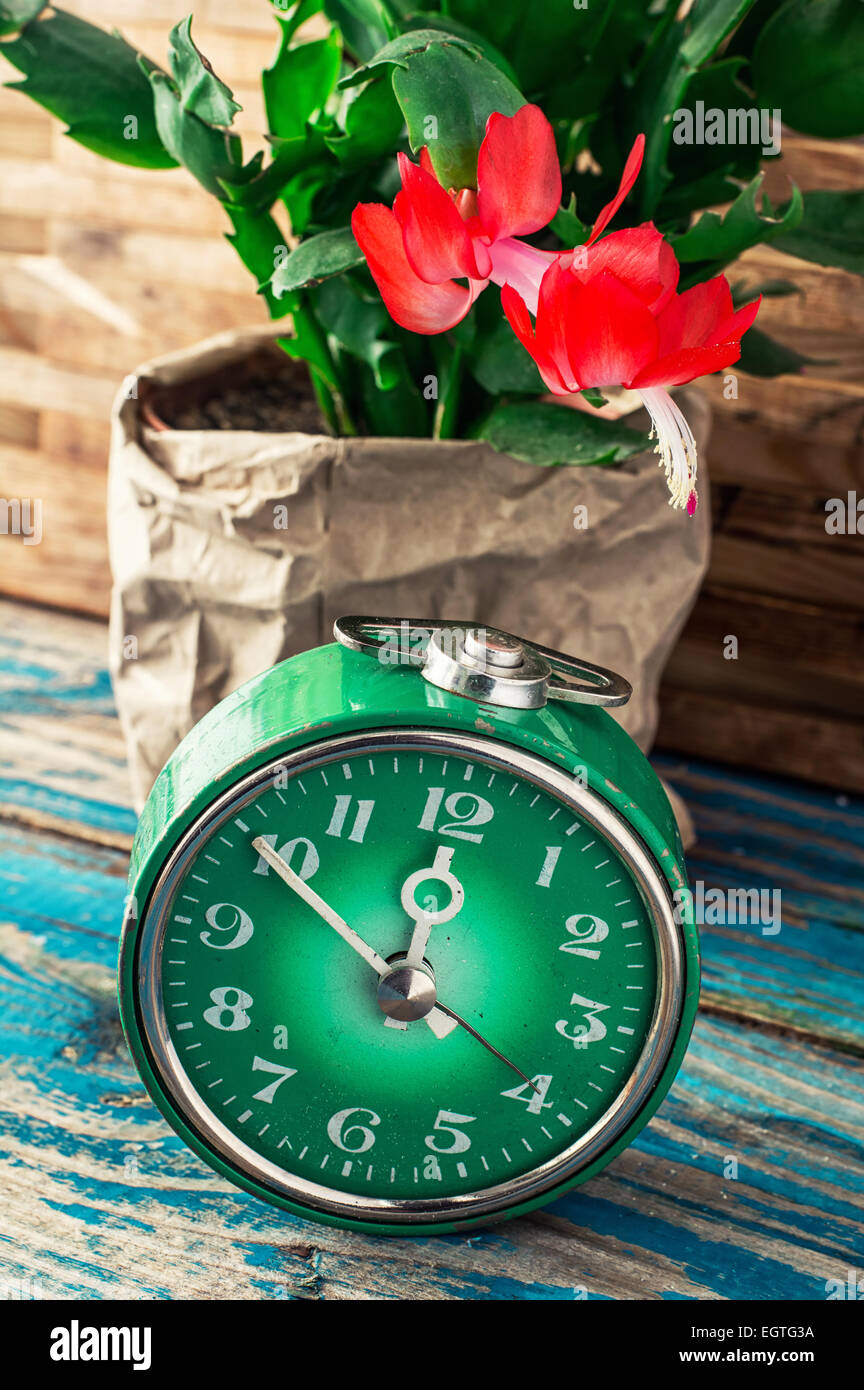 Simbolo della molla di orologio di verde e fiori di fioritura.Immagine viene colorato in stile vintage Foto Stock