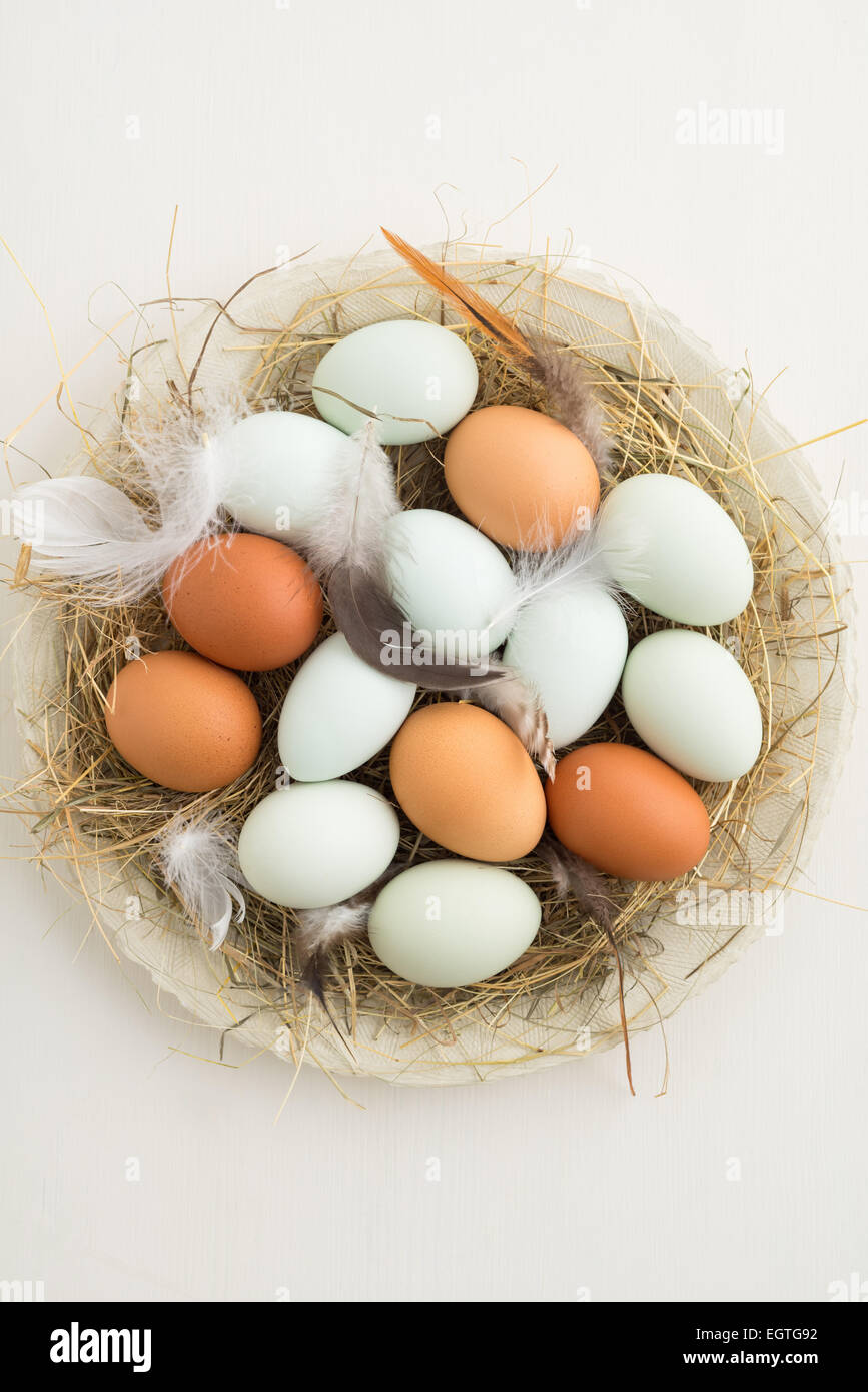Fresca luce verde uova di Pasqua egger pollo e rosolare le uova in un nido di paglia su una piastra Foto Stock