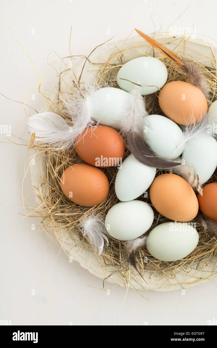 Fresca luce verde uova di Pasqua egger pollo e rosolare le uova in un nido di paglia su una piastra Foto Stock