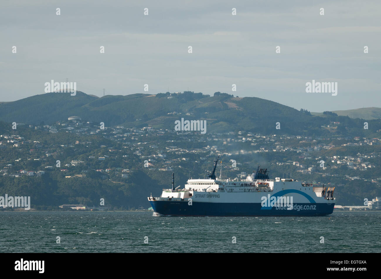 Blue Bridge ferry avvicinando Wellington, Isola del nord, Nuova Zelanda. Foto Stock