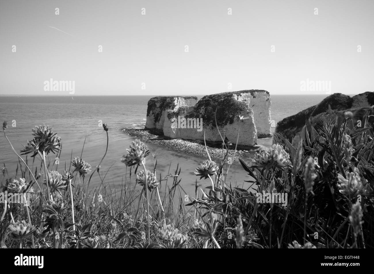 Old Harry Rocks, Purbeck Costa, Dorset Foto Stock