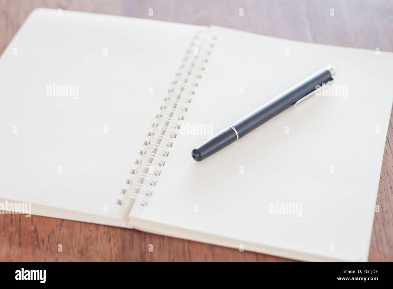 Notebook vuota con la penna sul tavolo di legno, stock photo Foto Stock