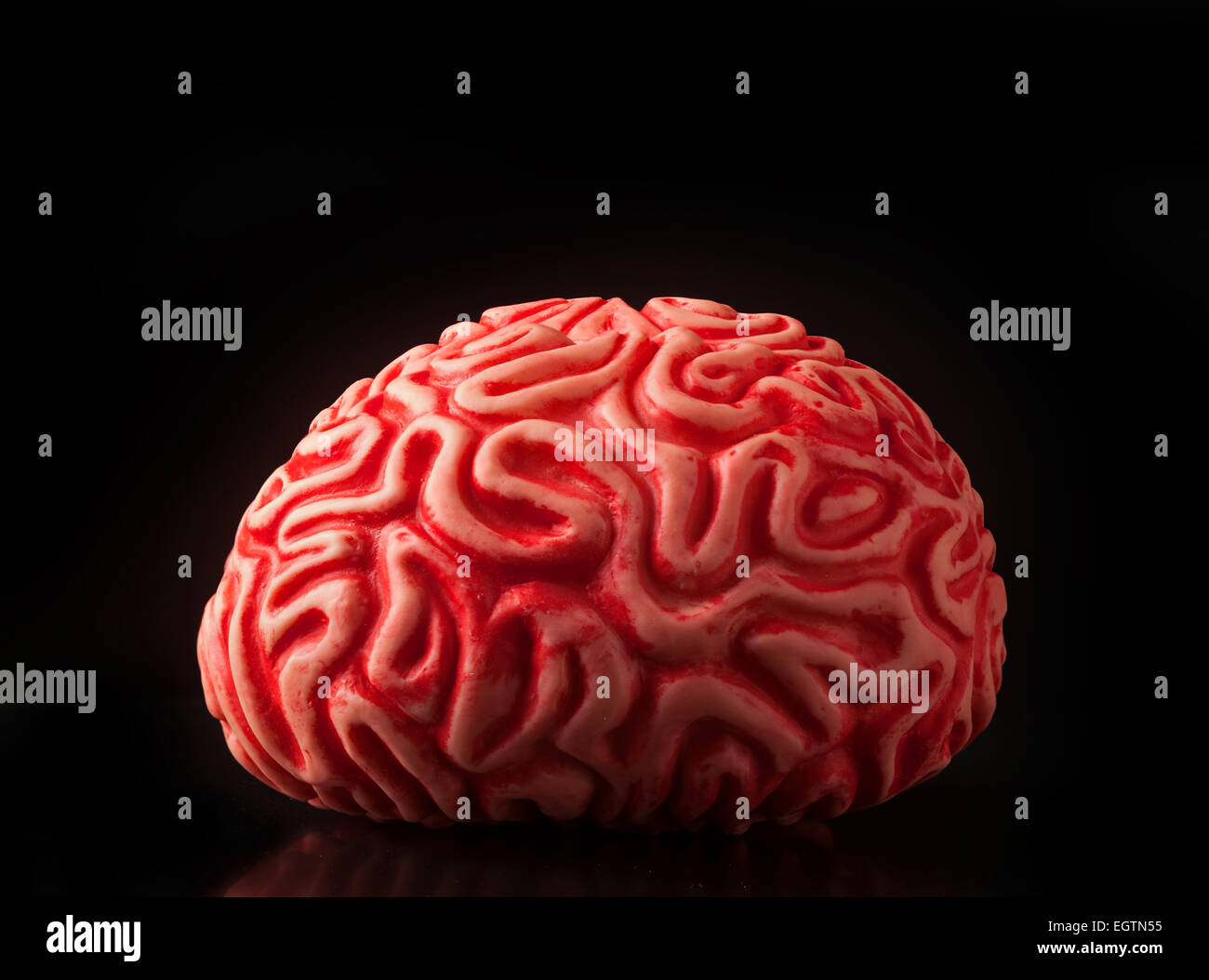 Gomma umano cervello isolato su sfondo nero. Foto Stock