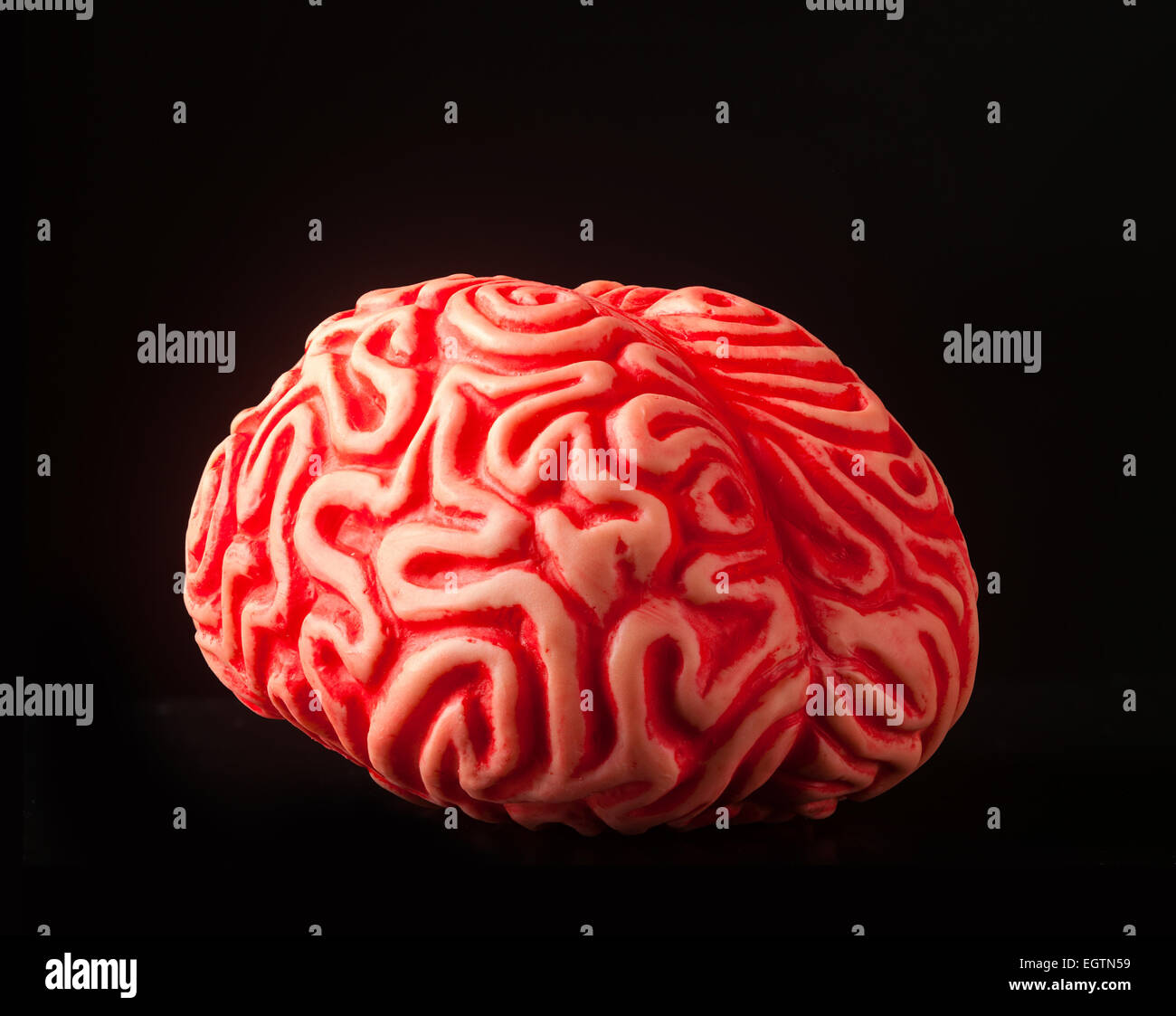Gomma umano cervello isolato su sfondo nero. Foto Stock
