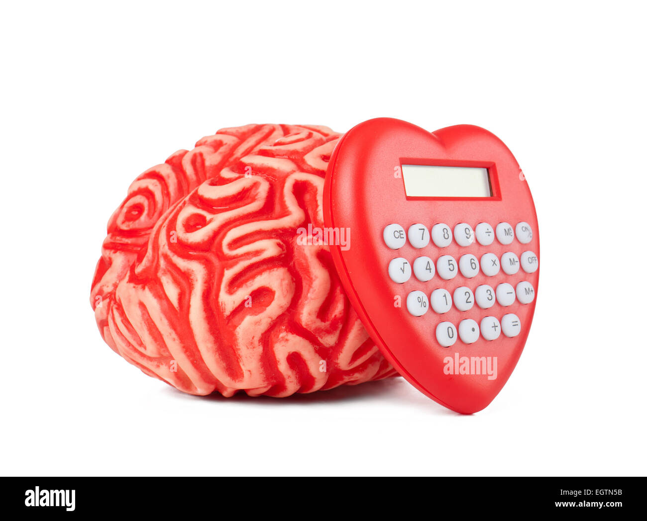 Umano cervello in gomma con la calcolatrice a forma di cuore su sfondo bianco. Foto Stock