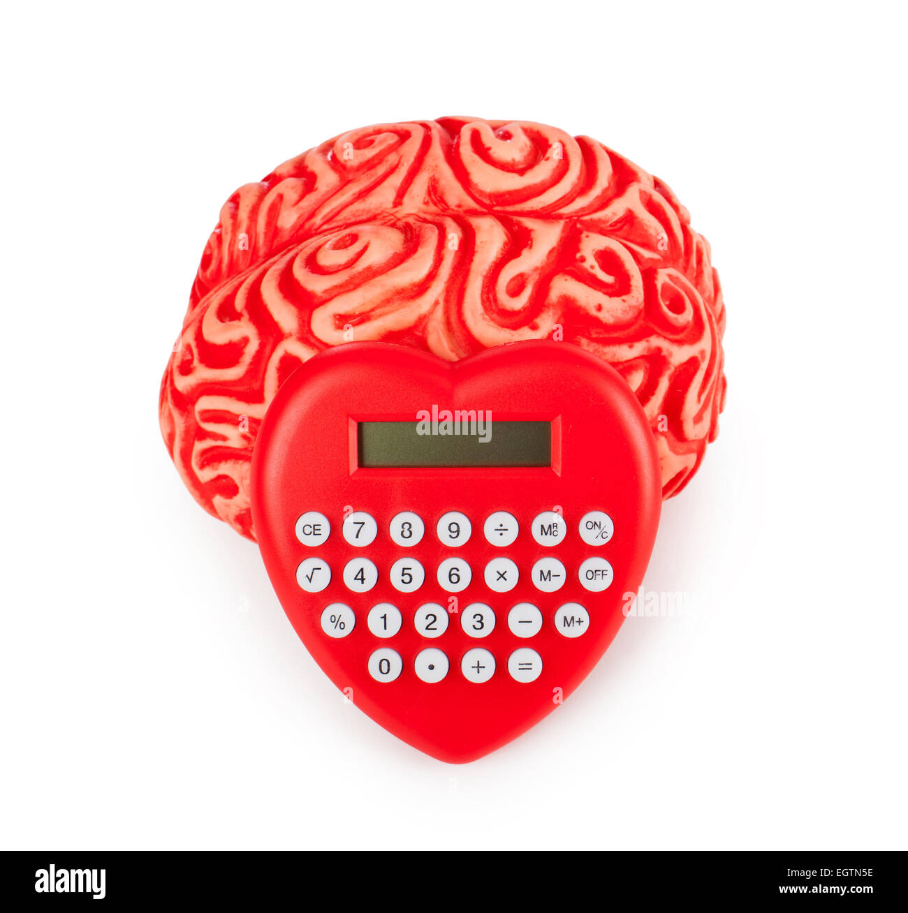 Umano cervello in gomma con la calcolatrice a forma di cuore su sfondo bianco. Foto Stock
